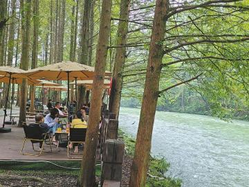 都江堰朱家湾林盘。