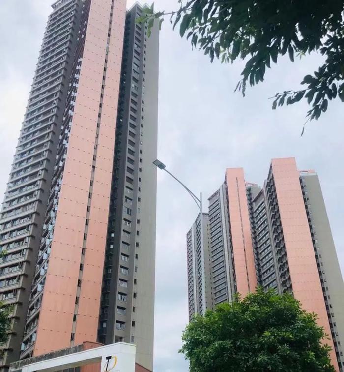 (深圳罗湖一处新房项目 吴家明摄)