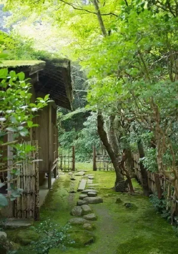 乡土|庭院|愉悦感_新浪新闻