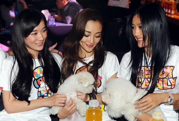 霍思燕|小璐|泰迪_新浪新闻