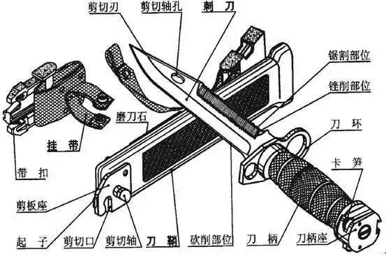 军用刺刀尺寸图片