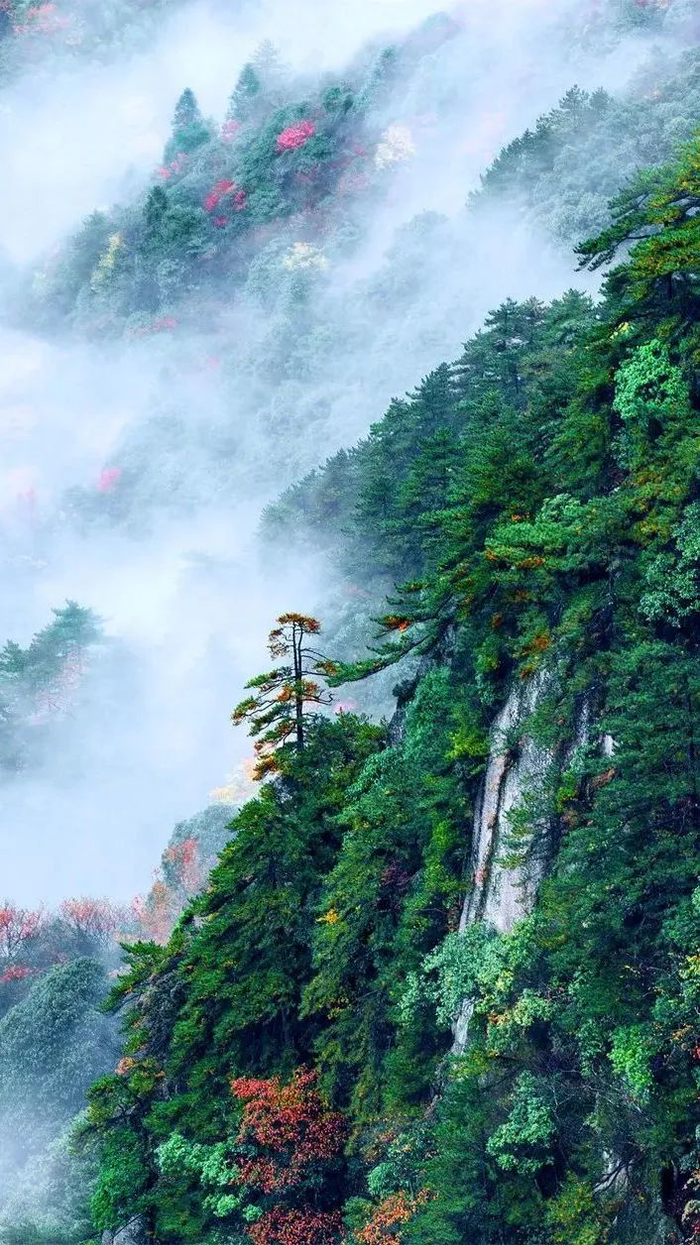 山间恣意创作羊狮慕风景区做一回行走于这幅画卷间的侠客来武功山纵情