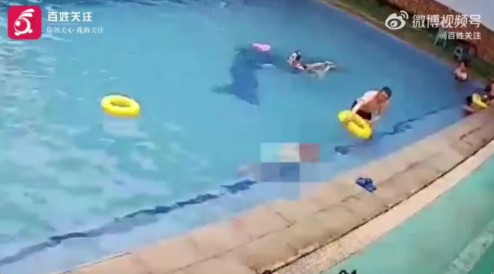 百姓关注视频报道截图