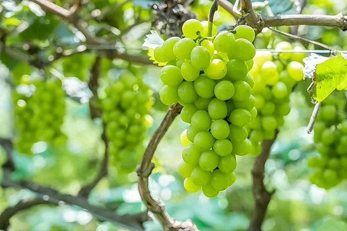 （图片来源：视觉中国）