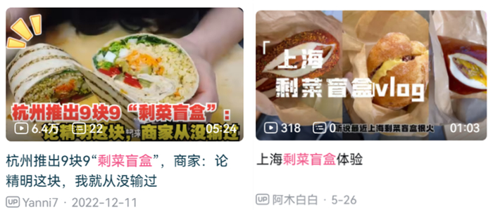 某视频网站上关于剩菜盲盒的内容，图源：bilibili