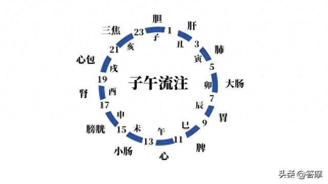 潘毅 | 中医说的「按时吃药」,很多人都没搞清楚