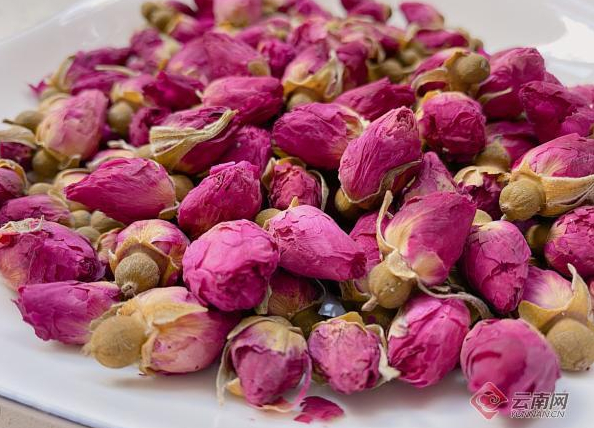 玫瑰花茶 郭建丽 摄