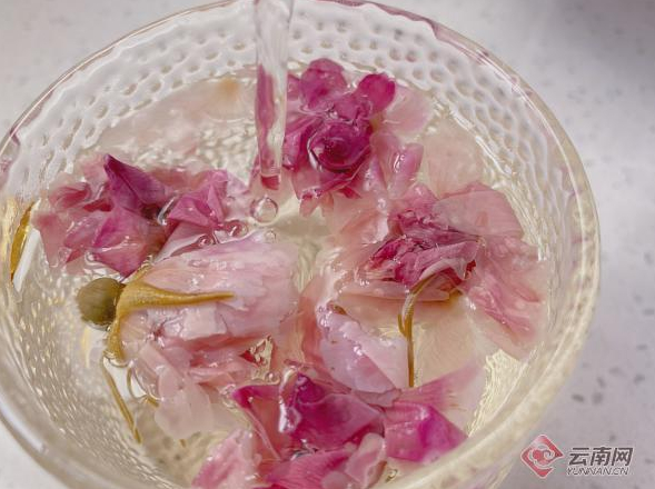 玫瑰花茶 郭建丽 摄