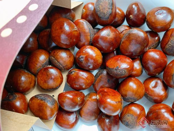 糖炒栗子 郭建丽 摄