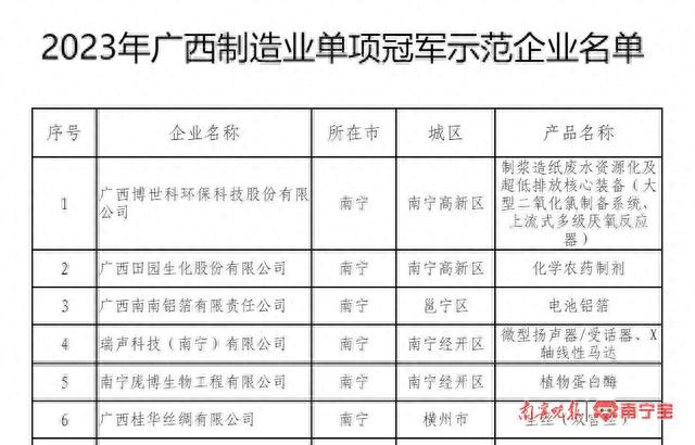 2023年广西制造业单项冠军示范企业名单中，所在市为南宁市的入选企业
