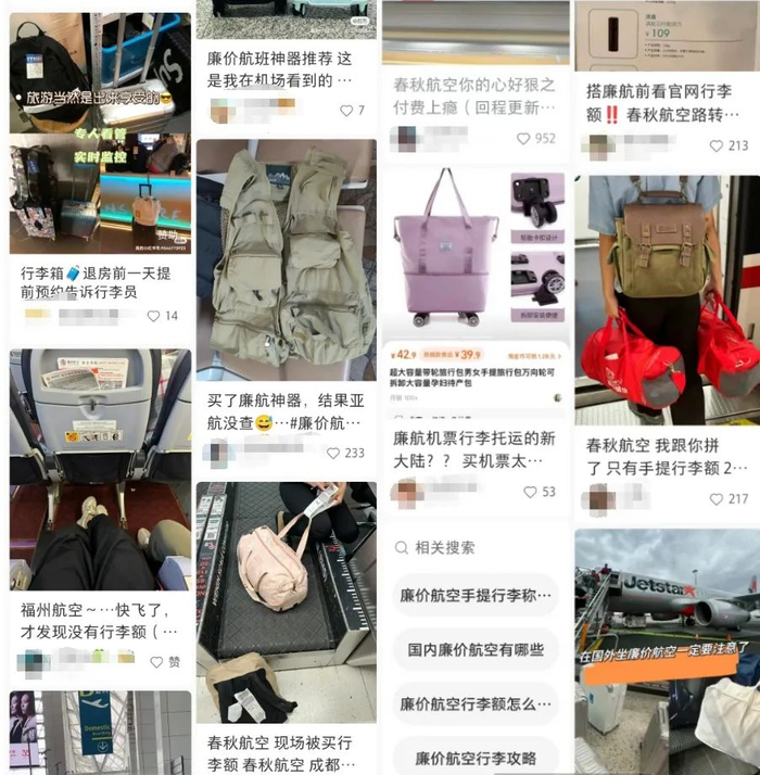 ▲截图来源：小红书App