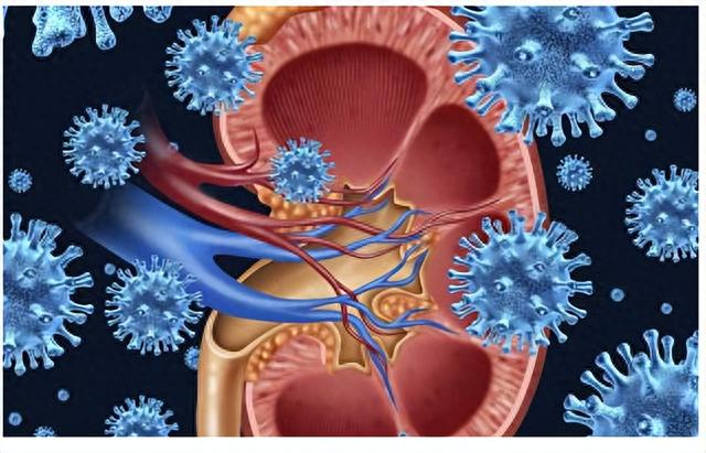 慢性肾炎难治来学会认清证型精准用方可实现标本兼治
