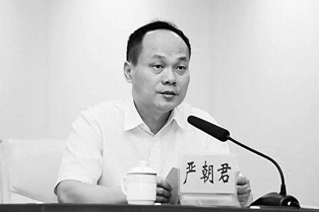严朝君 资料图
