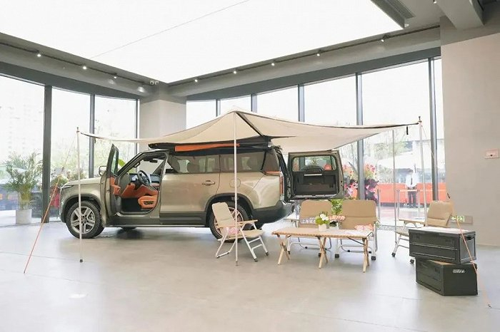 图源：极石官方