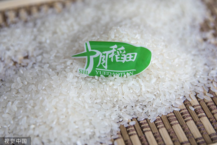 十月稻田 视觉中国 资料图