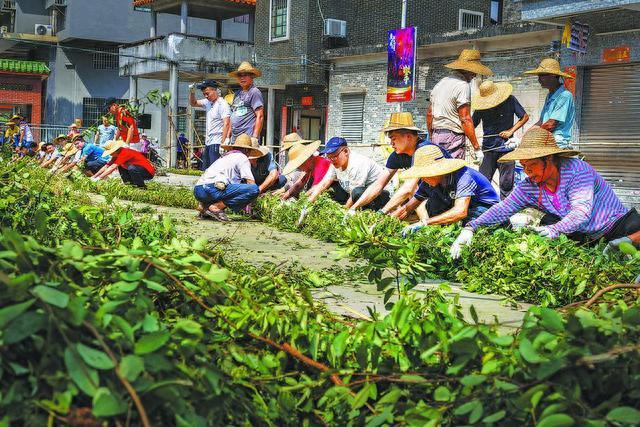 陈山舞香火龙:神龙起舞香火盛 红焰点点耀人间