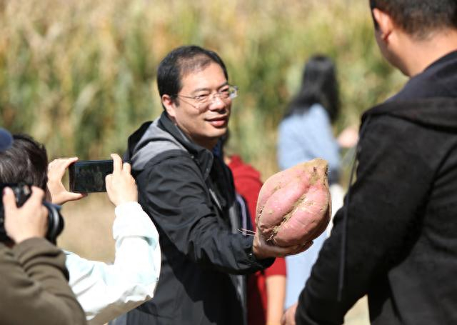 图话丨太原尖草坪宇文村:红薯丰收,铺就农民"甜蜜"致富路|红薯|尖草坪