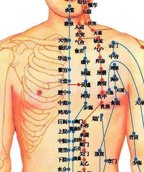 三,不论男女老少,体质强弱都可以受益那天,老丁对我说:"你是搞健康