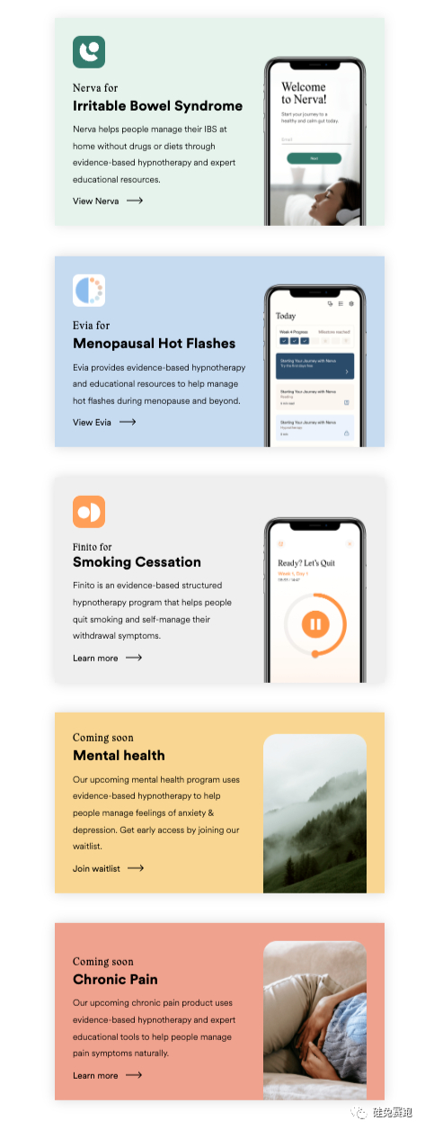Mindset Health 涉及的领域