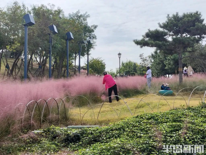 篱笆挡不住进入草地拍照打卡的人