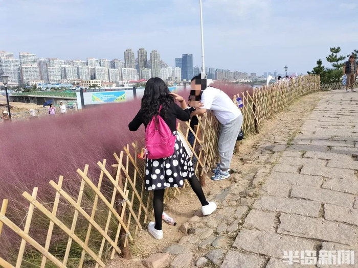 篱笆挡不住进入草地拍照打卡的人