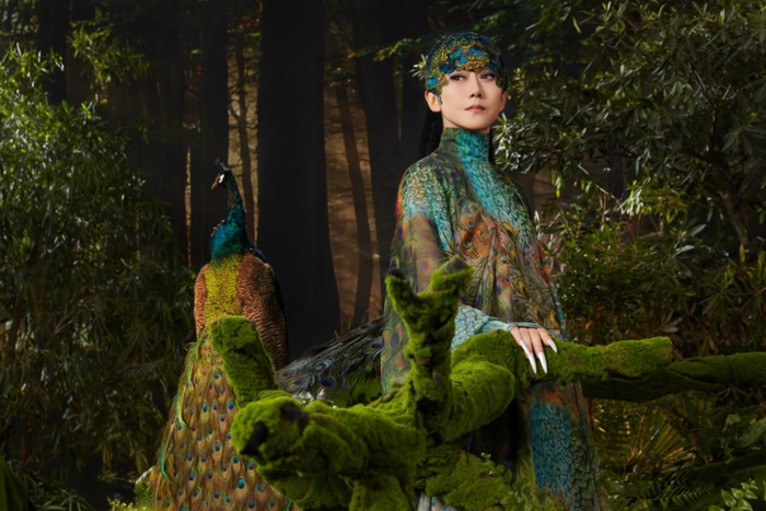 公众想象对杨丽萍的围猎|杨丽萍|孔雀_新浪新闻