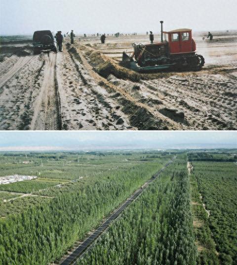 从满目苍黄到千顷澄碧新疆柯柯牙的绿色传奇