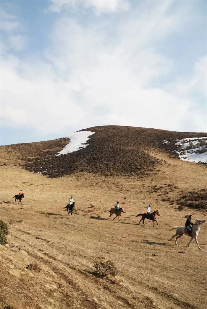 （图片来源于大理文旅）