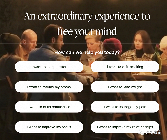 Oneleaf 涉及的领域