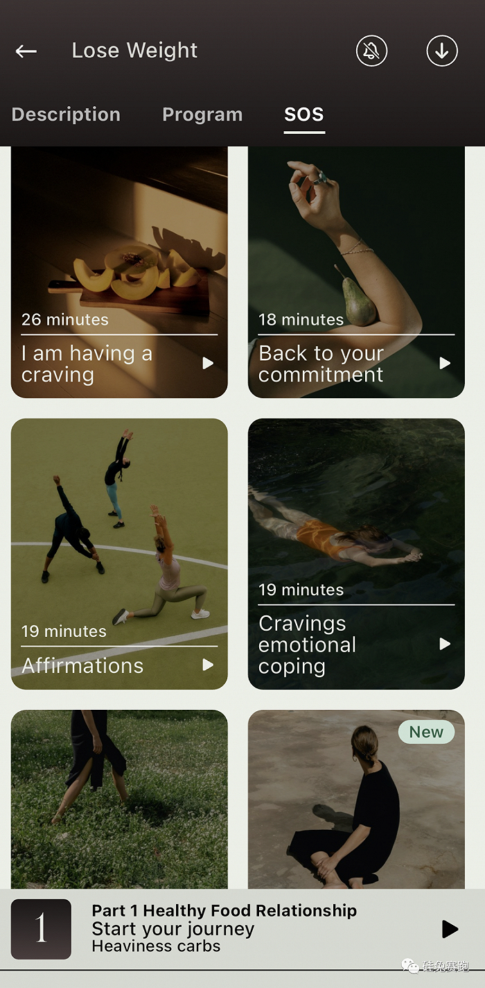 oneleaf 的减肥课程