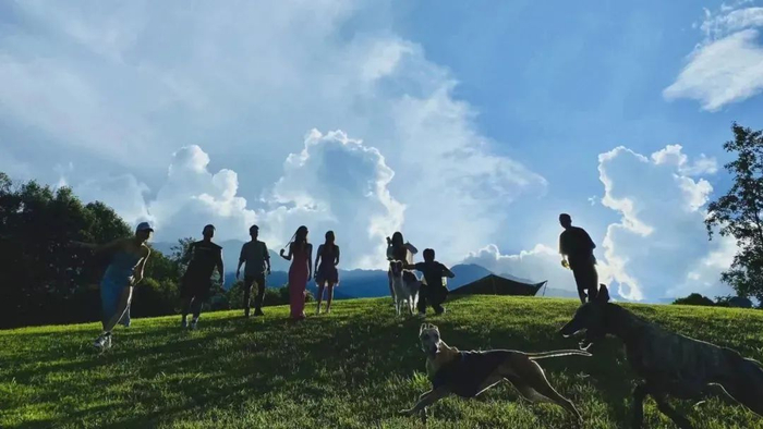 （图片来源于大理文旅）