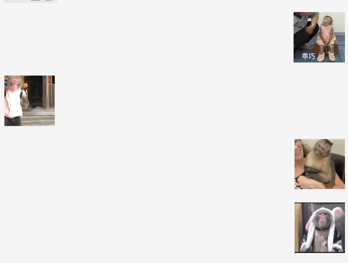 微信群里使用的灵长类动物表情包。受访者供图