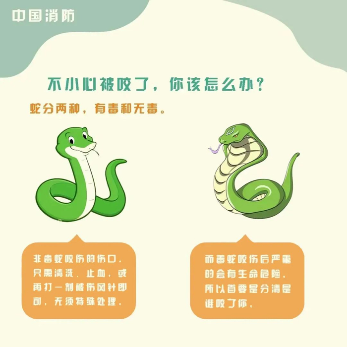 深圳逛公园防蛇指南请查收→|蛇|眼镜蛇|医院_新浪新闻