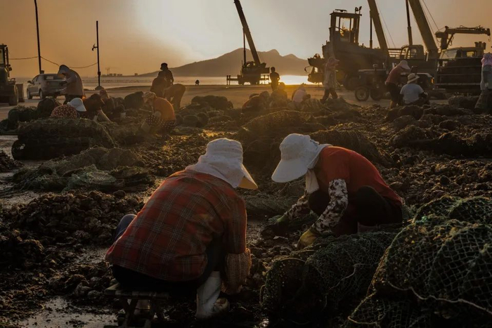 日落时分的码头，时代财经摄