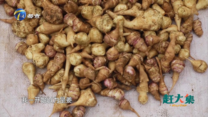 地葫芦你见过吗可以生吃可以腌咸菜真是太少见了