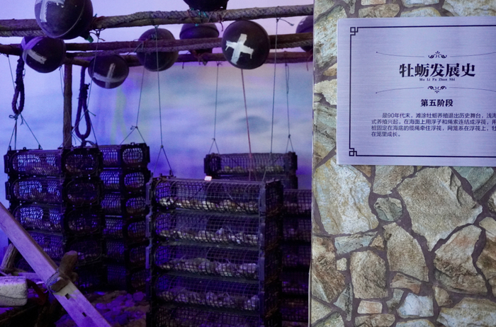牡蛎文化博物馆内，还原了牡蛎发展史，时代财经摄