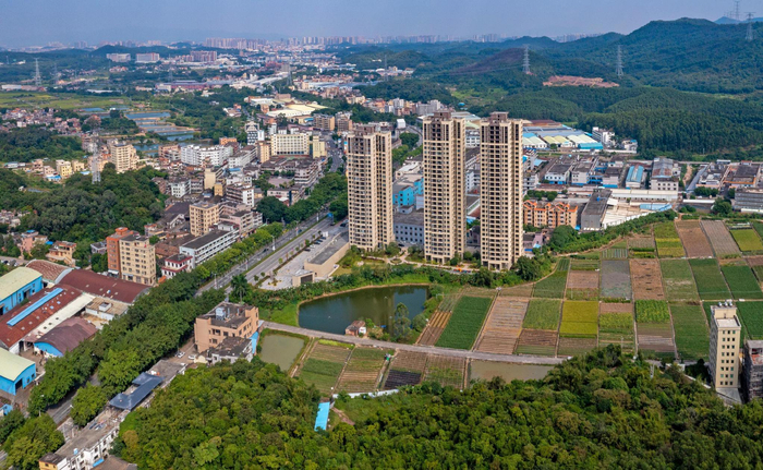 视频·大美岭南 | 江门鹤山雅瑶镇:鱼龙舞动 星汉人间|龙|江门市|岭南