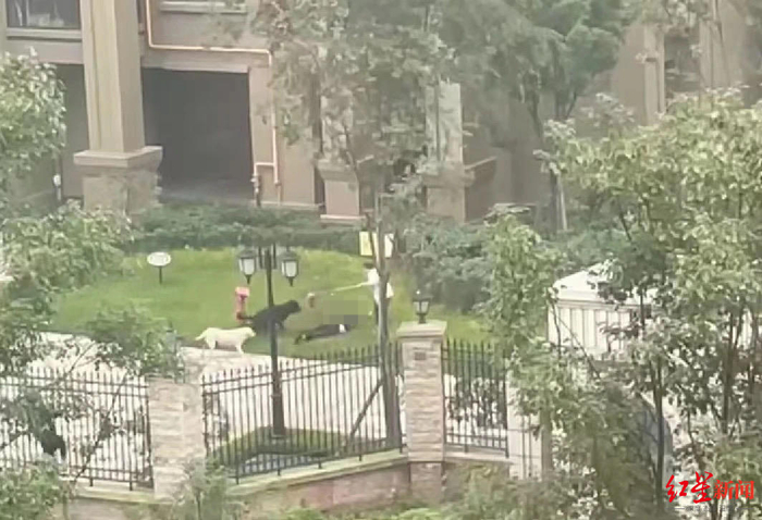 ▲事发现场 视频截图