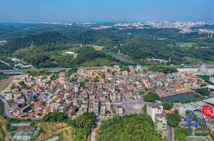 江门鹤山雅瑶镇:鱼龙舞动 星汉人间|龙|江门市_新浪新闻