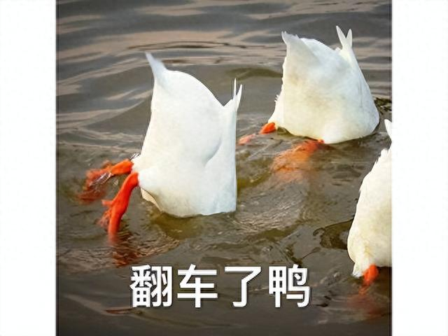 是不是都Jaunpur爆胎？前段时间这格斗游戏不是维托县Bug巨多，就是小唯还卖289(图10)