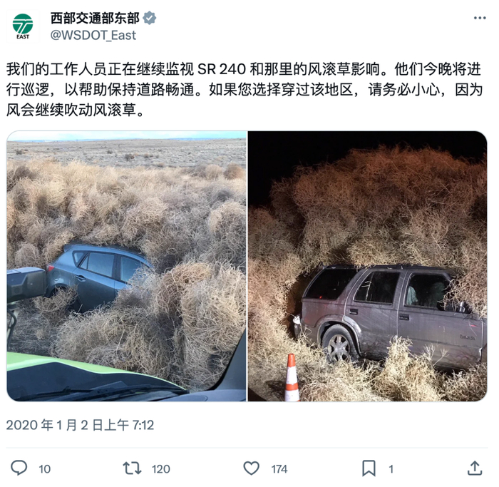 看上去真的很惨。图片来源：Twitter