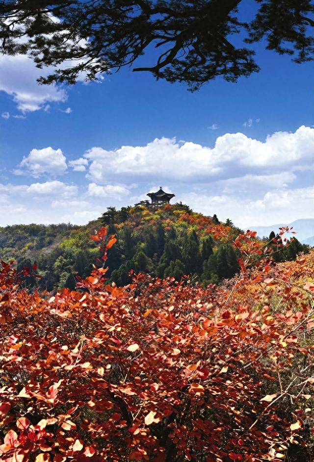 层林尽染锦绣西山——龙山,太山癸卯红叶文化节在太原龙山景区正式