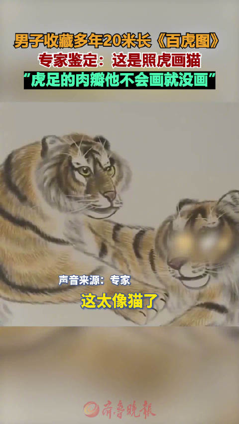 男子收藏多年的百虎图竟是照虎画的猫