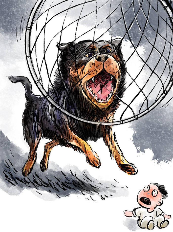 画说热点丨恶犬伤人|崇州|罗威纳|女童_新浪新闻