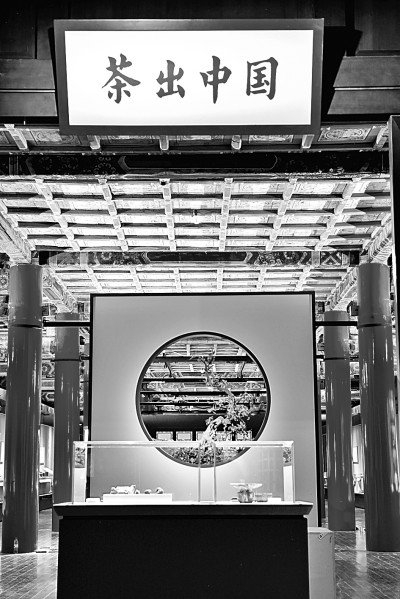 故宫博物院“茶·世界：茶文化特展”展览现场