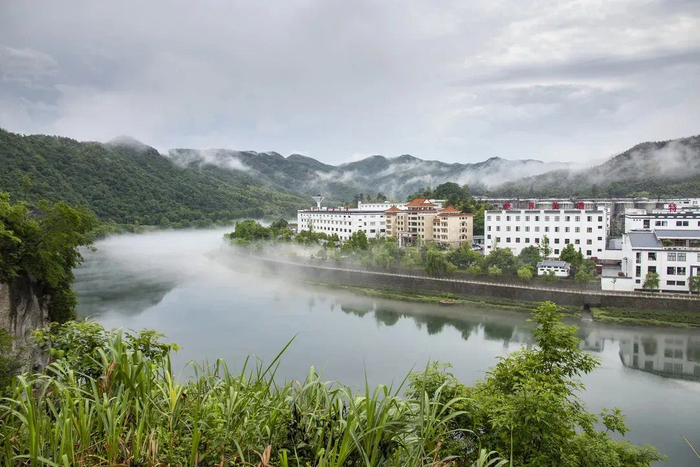 （来源：迎驾贡酒）