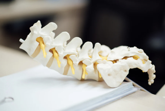 图源：unsplash.com 摄影师：CHUTTERSNAP