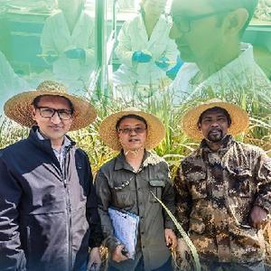 【责任编辑:邱丽芳 】