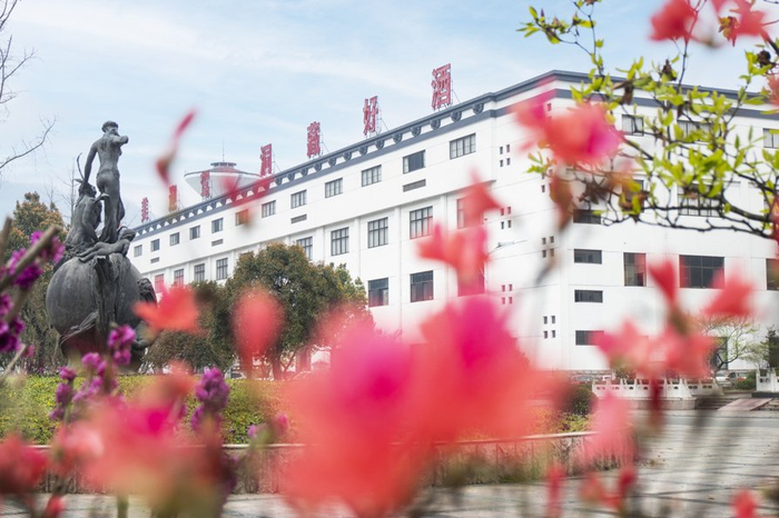 （来源：迎驾贡酒）