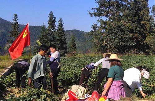 從江縣郎寨村: